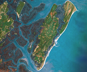 satellite image of Sapelo Island