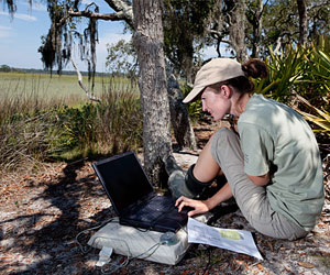 researcher in field on Sapelo Island
