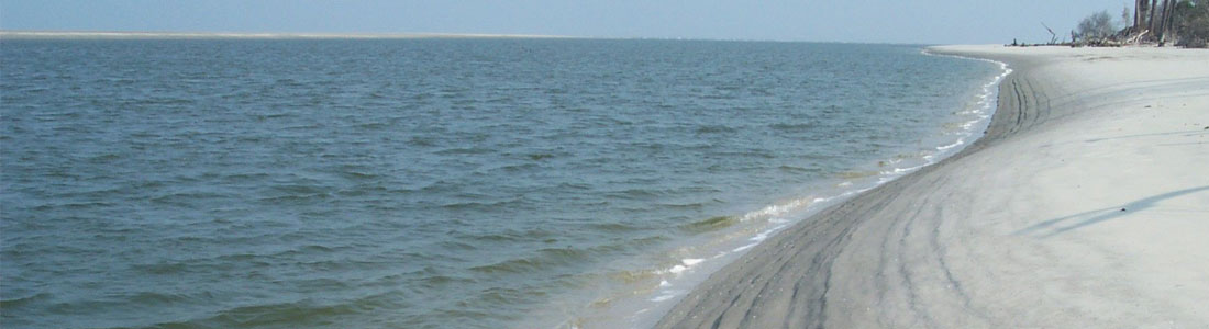 shoreline at Sapelo Island