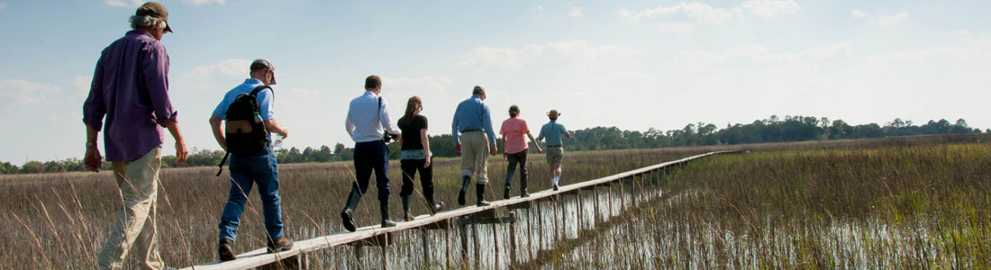 visitors on Teal boardwalk in marsh