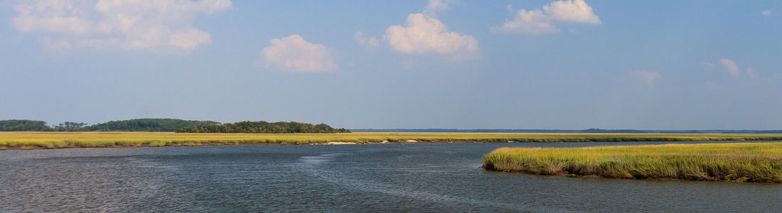 estuary at Sapelo Island