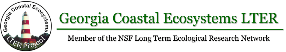Georgia Coastal Ecosystems LTER Logo