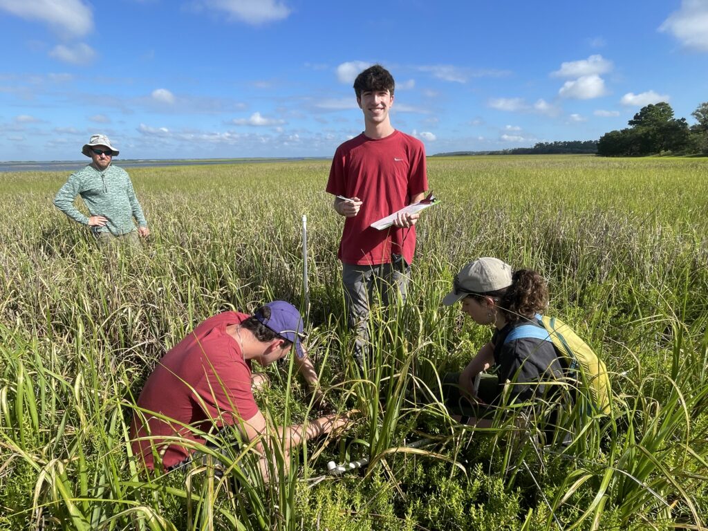 Two students crouch in marsh grasses collecting data while a third stands between them, smiling at the camera holding data sheets. Another individual stands further back looking on. The sky is bright blue and dotted with clouds, and some woody leafy trees are seen in the distance on the upper right  quadrantof the photo