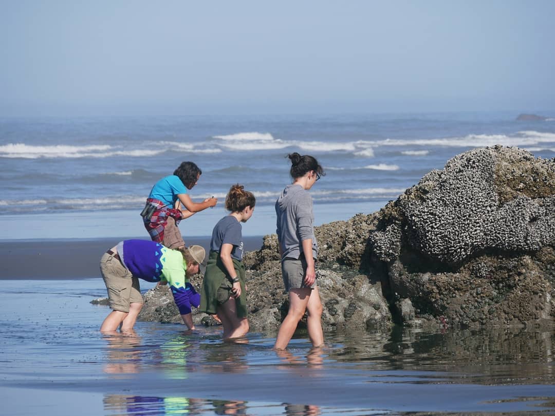 Four students walking though the tide in front of a pile of rocks on the beach with breaking surf in the background