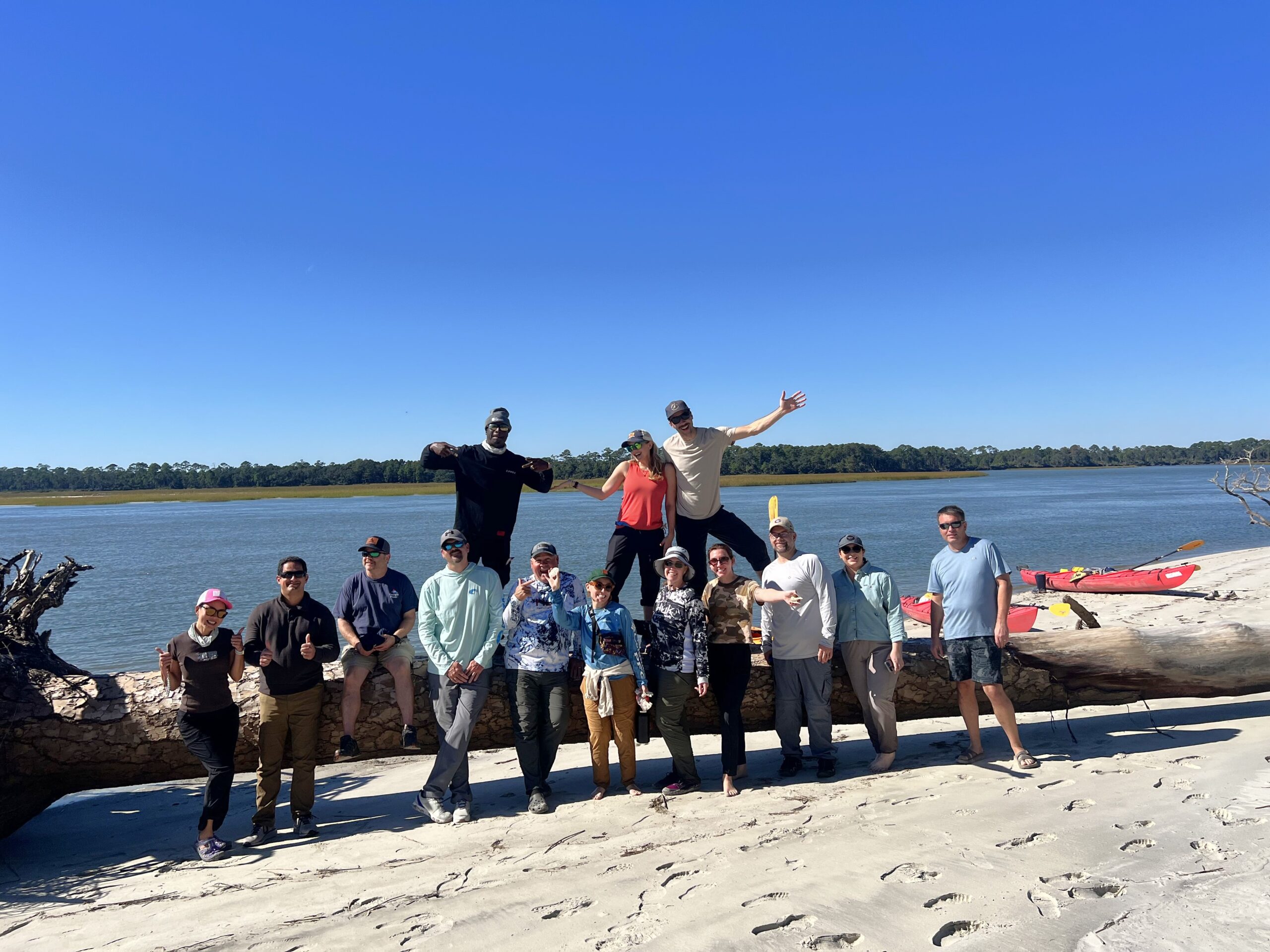 Thirteen people smiling at the camera posing on and in front of a fallen free trunk on the beach, blue water and bright blue sky behind them with a strip of green trees lining the horizon