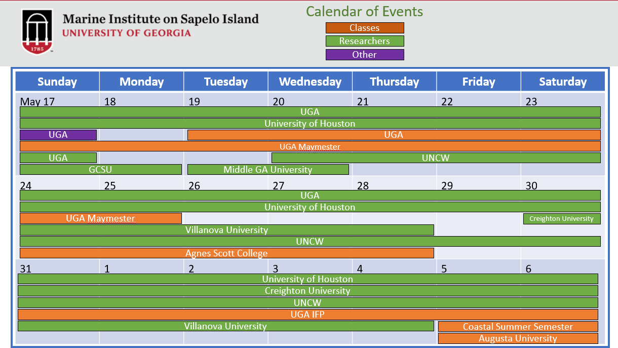 A calendar of events for the Marine Institute (UGAMI) on Sapelo Island showing class and researcher visits from May 17 to June 6, with color-coded bars for each group.
